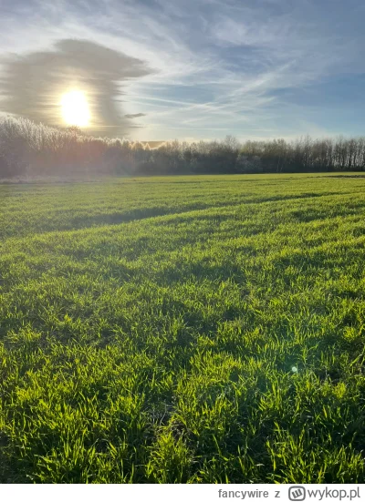 fancywire - chuop ręcznie zasiał na zimę, a teraz piniądz sam wyrasta z ziemi 
#chuop...