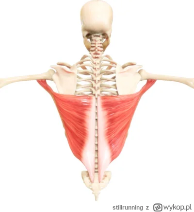 stillrunning - @Kentaki_chicken @Saprofit: Mnie najbardziej ostatnio rozwaliło, że te...