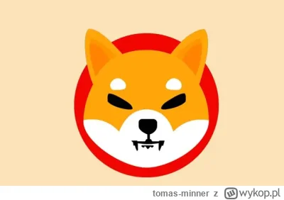 tomas-minner - ⚡️Twórcy Shiba Inu chcą odzyskać 2,4 miliona dolarów od hakera 
https:...