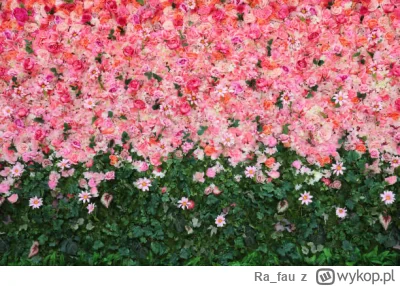 Ra_fau - Widok z pierwszego rzędu
#koncertnoworoczny