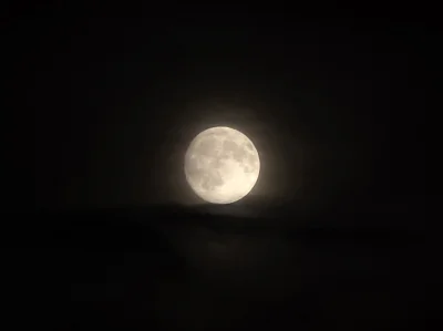 Tippler - #fotografia #fotografiamobilna #c--------------------a