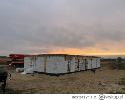 dexter1213 - #kukurydzadextera #budujzwykopem #budowadomu #chwalesie

Mirasy, mirabel...