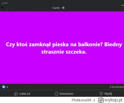 Plotkova99 - Po tym jak widziałam gówna psów we windzie, jak moją znajomą pogryzł pie...