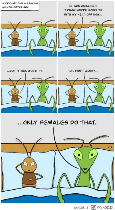 wodzik - @srgs: ( ͡° ͜ʖ ͡°)