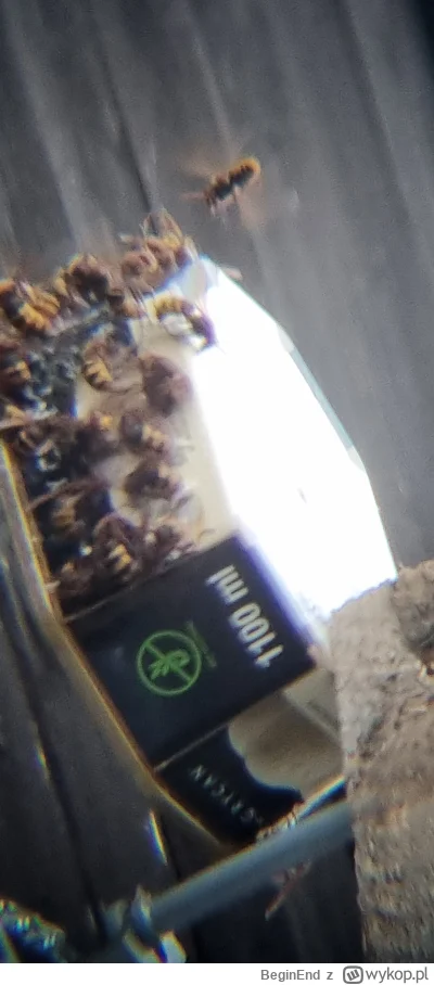 BeginEnd - @BeginEnd: