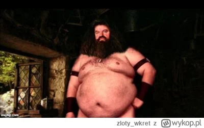 zloty_wkret - #harrypotter 
Dobrą wersję oglądam?