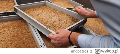 andbatros - Trzeba zrobić miejsce na hodowle robaków
Wg badania IPIFF (International ...