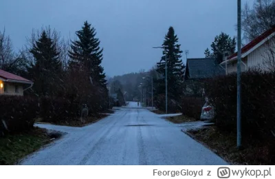 FeorgeGloyd - @jmuhha: Finlandia ma podobne.