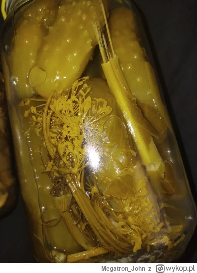 Megatron_John - @BlackenedBlue  pryma sort ugulem