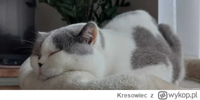 Kresowiec - Moi kochani, spanko jest bardzo ważnym elementem naszej regeneracji, więc...