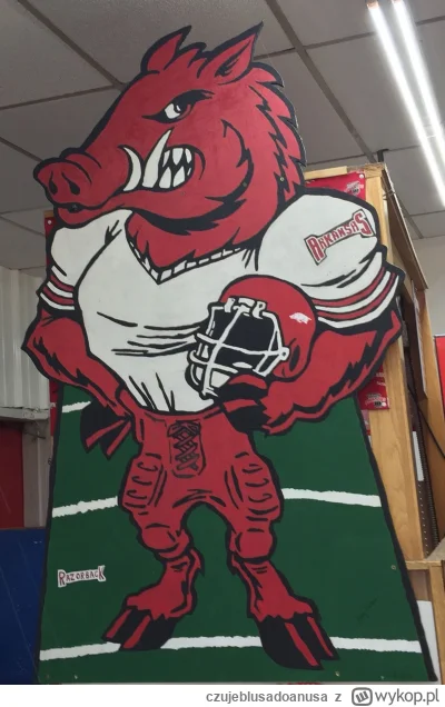 czujeblusadoanusa - #mecz #rugby #chwalesie ᕙ(⇀‸↼‶)ᕗ
Za godzinę leci chłop na mecz sw...