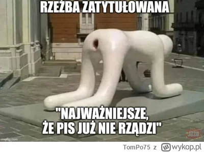 TomPo75 - PiS to g***no ale ktos bardzo dobrego mema stworzyl...

Jesli o mnie chodzi...