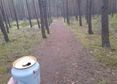 skoczycwogien - Leśna wędrówka z piwem w ręku
#przegryw