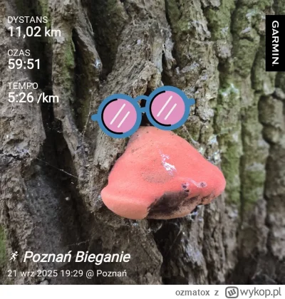 ozmatox - 12 555,86 - 11,02 = 12 544,84

Przyjemny wieczorny bieg w cieniu reflektoró...