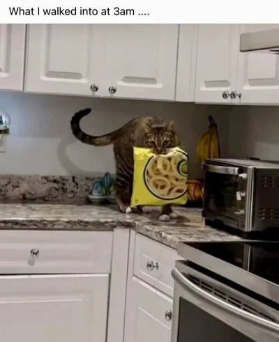 wybryk_natury - #zlodziejskiewybryki