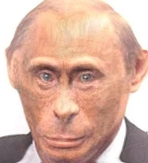 PEPELeSfont - Putin został wzorowo wygrzmocony w dupala przez wszystkich swoich sojus...