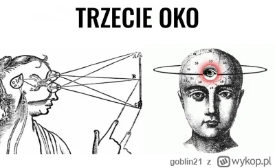 goblin21 - @vanguard