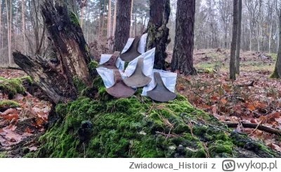 Zwiadowca_Historii - Topory z epoki brązu odkryte w lesie na Pomorzu (GALERIA +FILM) ...