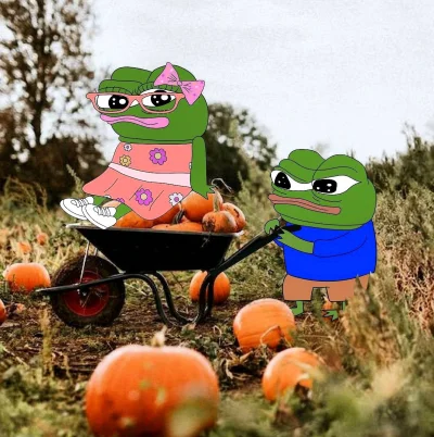 Strigon - Huop będzie dynie z ogrodu zbierać se
#apustaja #frenpill