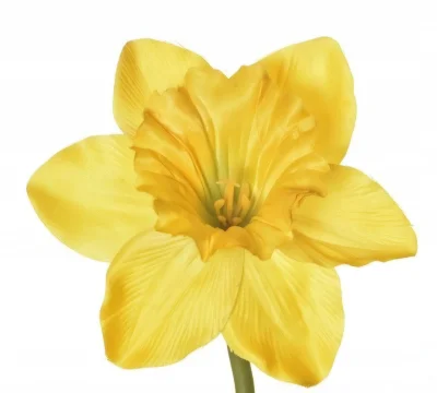 GarbatyNosek2 - @suwerensudoku ale strzelają dupska... Wylew hejty, nienawiści i atak...