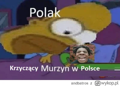 andbatros - Rok 2024: Murzyni w Polsce nadal są atrakcją 

#ishowspeed