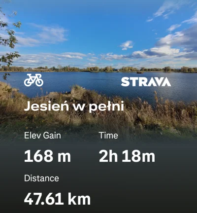 Emble - #kross #esker #gravel #rower

Eh brzusio bolał i musiałem srać po krzakach xd