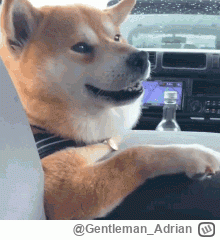 Gentleman_Adrian - #lemans Nie minęły  23h a Ferrari już nie domaga wstrzymywane za d...