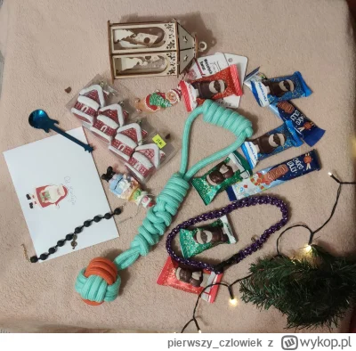 pierwszy_czlowiek - Pierwszy raz brałem udział w #wykopaka i przyznaje że sprawa jest...