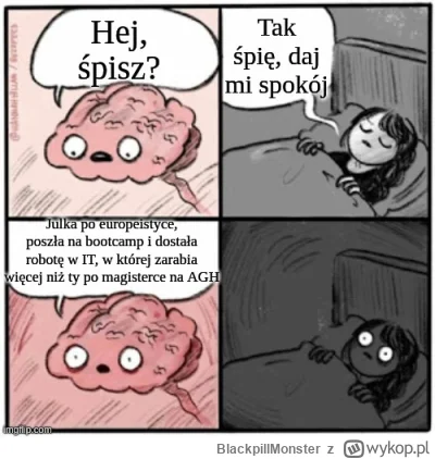 BlackpillMonster - #pracait #programowanie #programista15k #programista25k #java #kor...