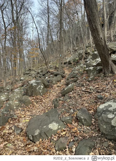 R2D2zSosnowca - @R2D2zSosnowca miłego tygodnia Mircy