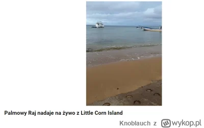 Knoblauch - #raportzpanstwasrodka 
palmowy nadaje https://www.youtube.com/watch?v=Gwi...