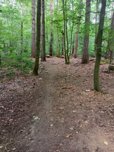 TencoPrzegral - #przegryw huop po lesie chodzi 
Śmiechu warte