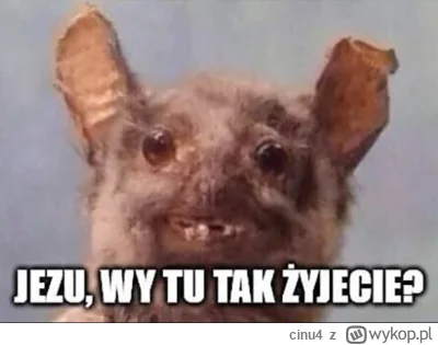 cinu4 - Lewis po latach w czyściutkim korpo przeszedł do włoskiego kołchozu. 
#f1