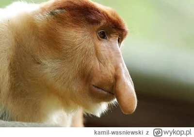 kamil-wasniewski - #kryptowaluty #bitcoin #giełda 

Uważaj synek bo te pierwsze spadk...