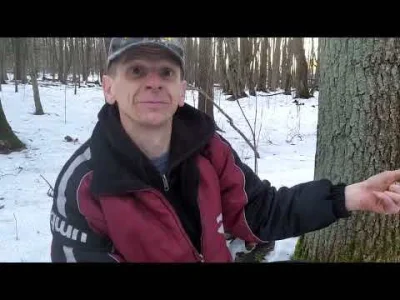 diwanin100 - @Midnight_Animal: klamstwo!