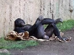 srgs - @thority: lul, nie dziala a i tak zaplacone