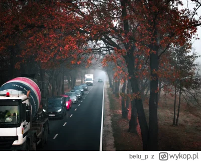 belu_p - oczywiście musiałem wyczekać aż samochody przejadą :D