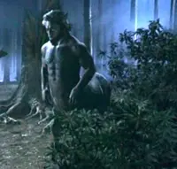 portauprince14 - #harrypotter A wiecie, że po wywaleniu Trelawney wróżbiarstwa uczył ...