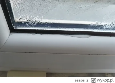 essos - Co jest nie tak, że mi się okno skrapla od środka?

#pytanie #dom #mieszkanie...