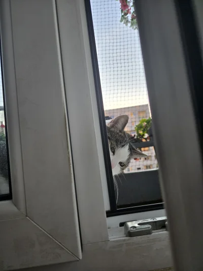 Solsith - @piSSowiec39: ( ͡° ͜ʖ ͡°)