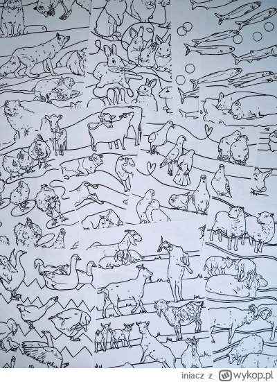 iniacz - Zrobiłam taką kolorowankę do druku, dam tylko swój tag #iniaczowebazgroly bo...