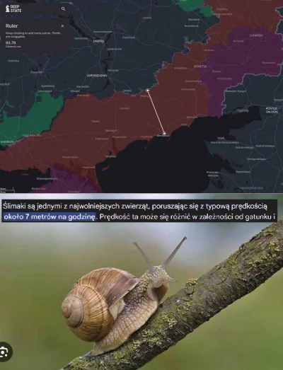 MokebeElDursi - #ukraina Ciekawostka. Ślimak osiąga zawrotną prędkość 7 metrów na god...