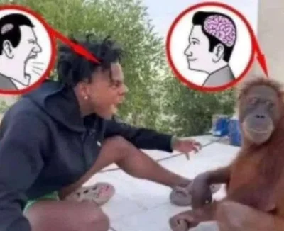 jabol6000 - #heheszki