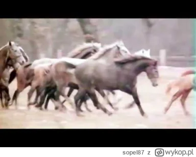 sopel87 - @Lardor: https://www.youtube.com/watch?v=-WQqNcJtvnM 
podbijali USA kiedyś