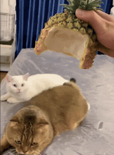 RitmoXL - #f1 Dziękuję 🙏 moi drodzy za wspólne oglądanie wyścigu. Bez względu na sym...