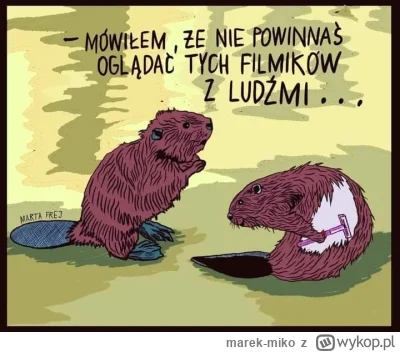 marek-miko - #boberek #bobry  #smiesznypiesek #humorobrazkowy  #heheszki