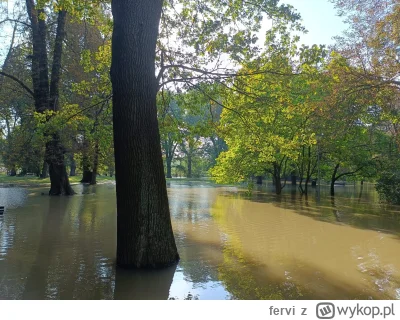 fervi - #powodz #wroclaw klecina