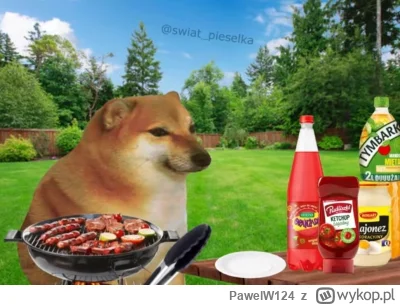 PawelW124 - #przegryw

Kolega z tagu wpadł do mnie na grilla.
Tak sobie teraz siedzim...