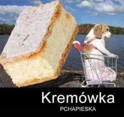 Niedobry - @szyderczyszczur: @KrainaWiecznej_Saszety Matko Bosko! Przeciez to Papiez!...