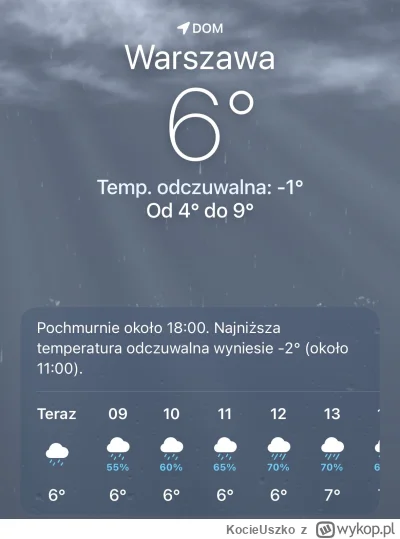 KocieUszko - Takie poranki statecznie przypominają mi dlaczego nie warto mieć psa w b...